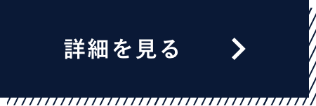 詳細を見る